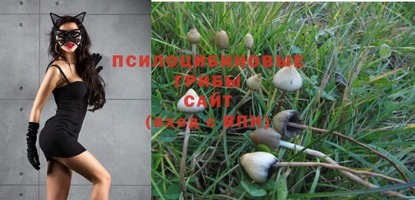 молекула духа Баксан
