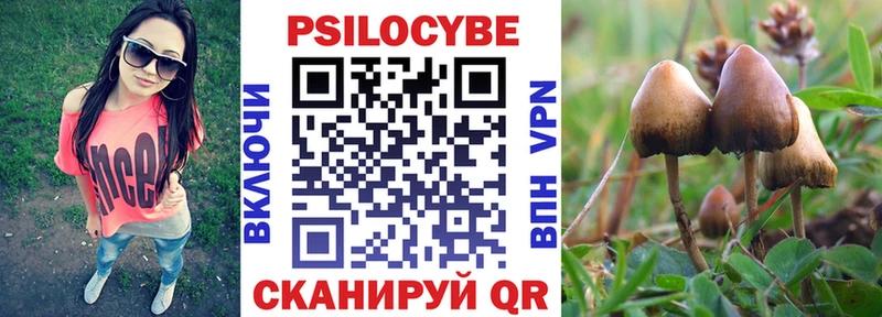закладка  Черняховск  hydra как зайти  Галлюциногенные грибы мицелий 